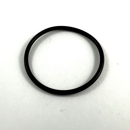 VALVE O RING 540360