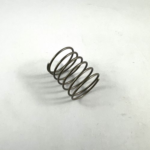 VALVE SPRING FOR 759051 VALVE
