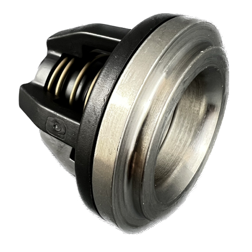 AR pump valve hi-flow (2081) AR759051